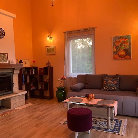 Patrick House Villa Tivat Eksteriør billede